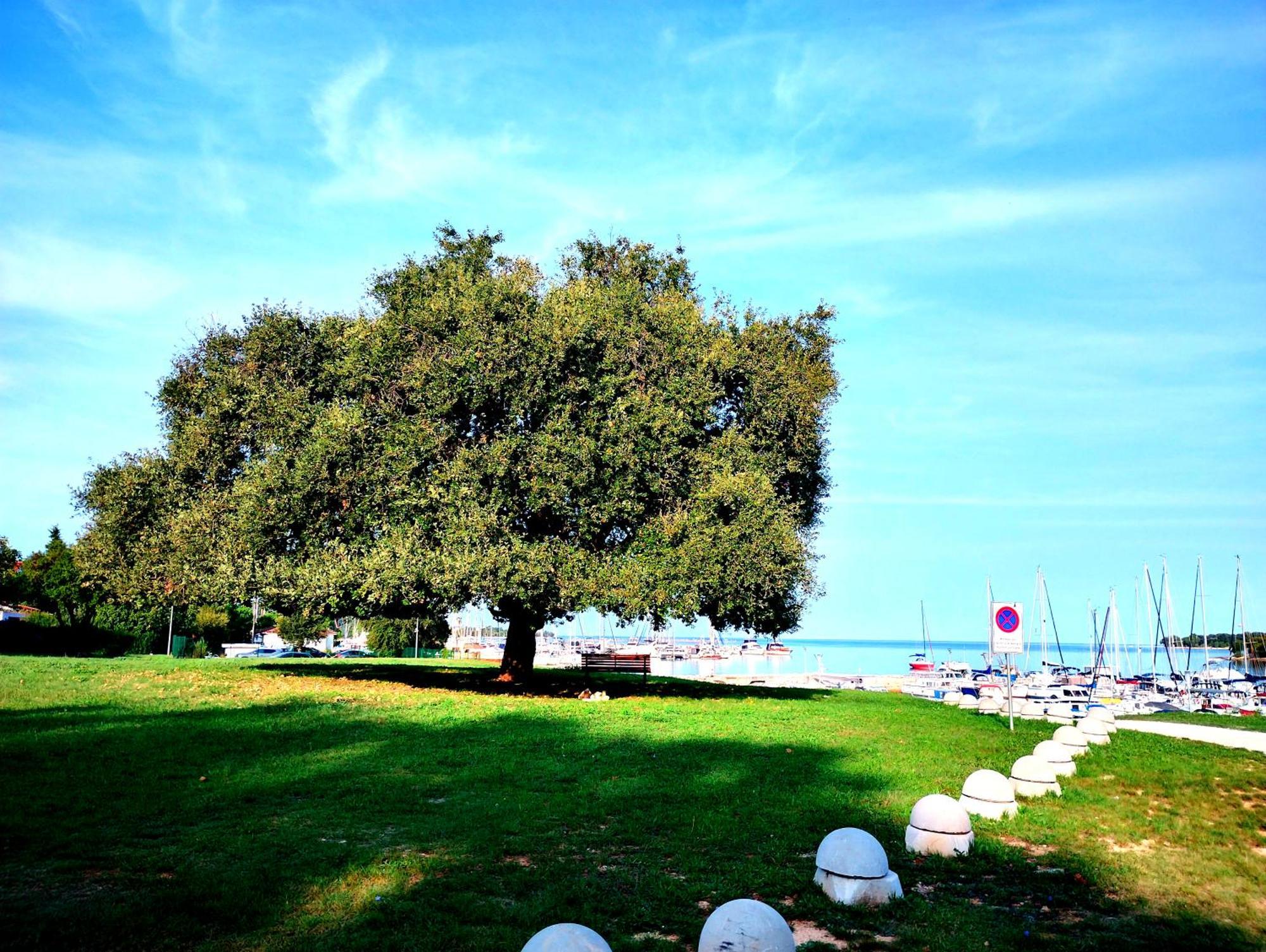 Premium Apartment Eden Porec Luaran gambar